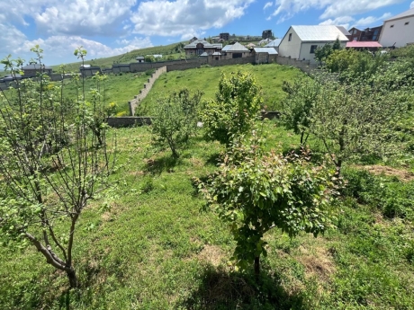 gundelik ev kirayesi