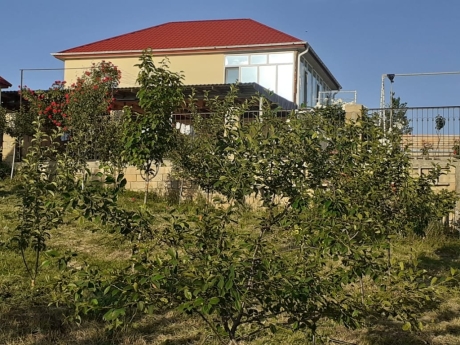 gundelik ev kirayesi