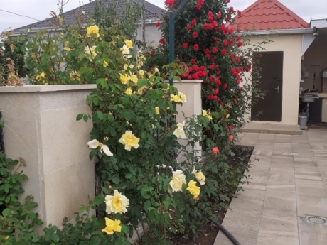 gundelik ev kirayesi