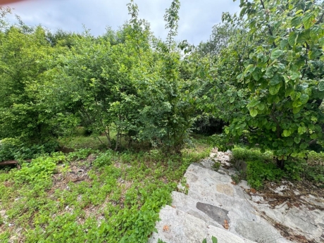 gundelik ev kirayesi