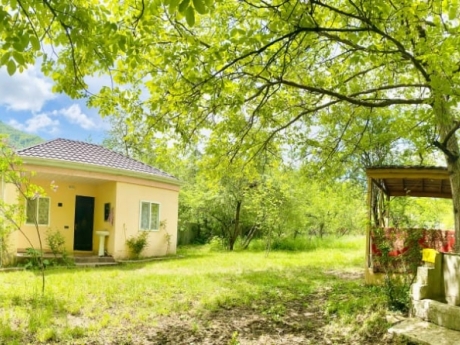 gundelik ev kirayesi