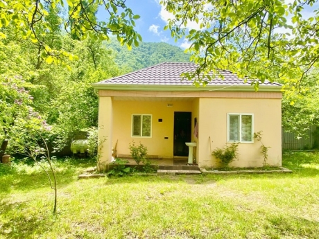 gundelik ev kirayesi