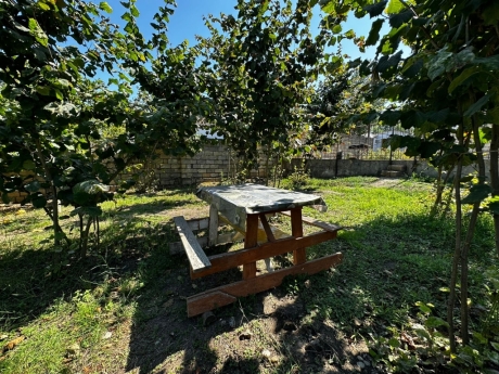 gundelik ev kirayesi