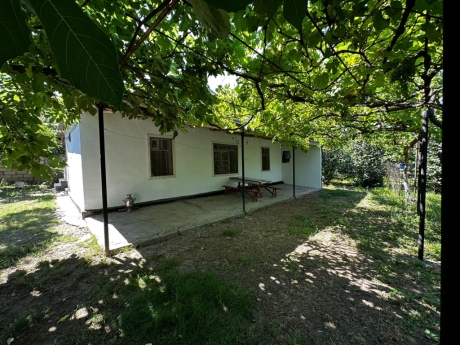 gundelik ev kirayesi