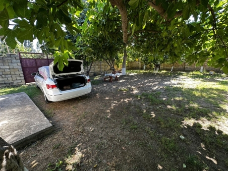 gundelik ev kirayesi