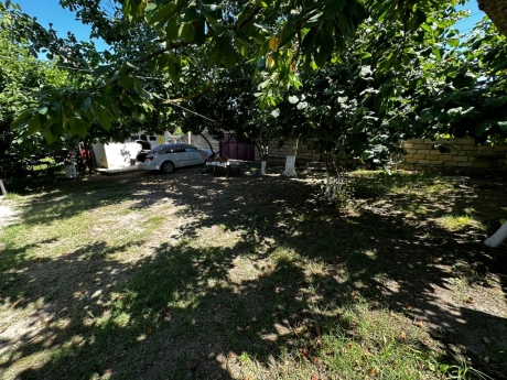 gundelik ev kirayesi