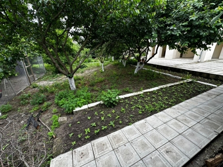 gundelik ev kirayesi