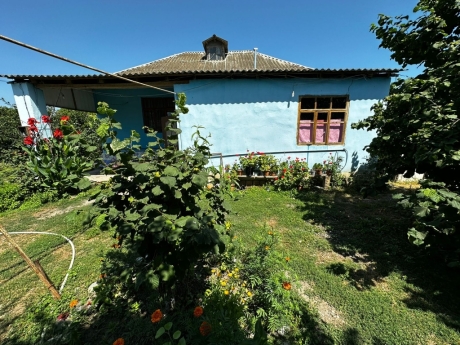 gundelik ev kirayesi