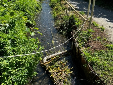 gundelik ev kirayesi