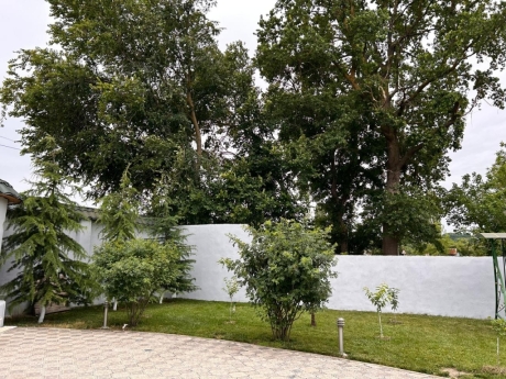 gundelik ev kirayesi