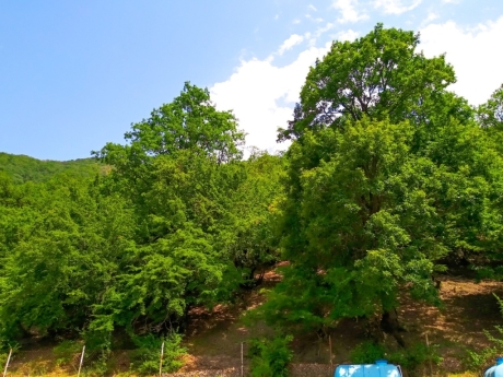 gundelik ev kirayesi