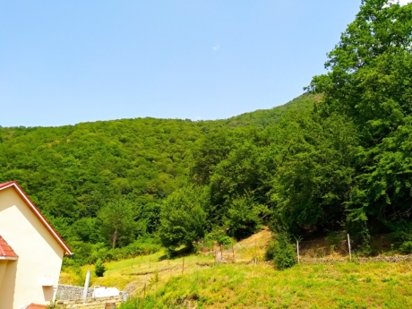 gundelik ev kirayesi