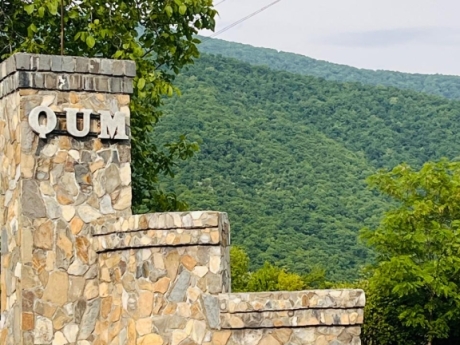 gundelik ev kirayesi