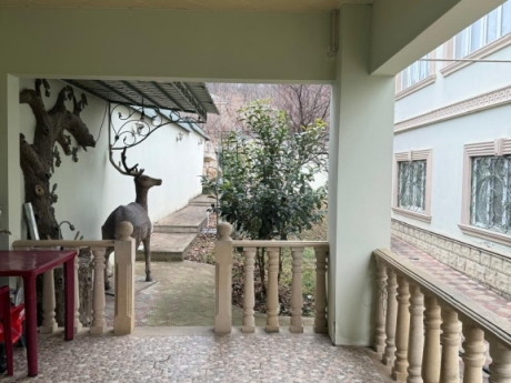 daily apartments baku