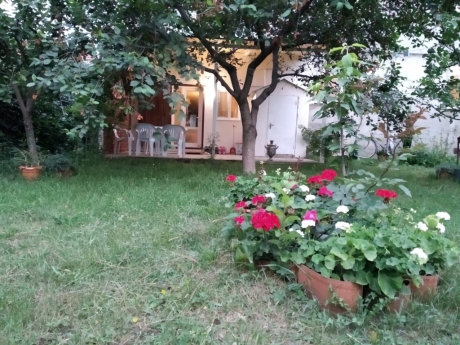 daily apartments baku