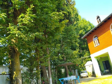 gundelik ev kirayesi