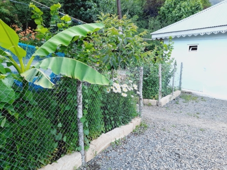 gundelik ev kirayesi