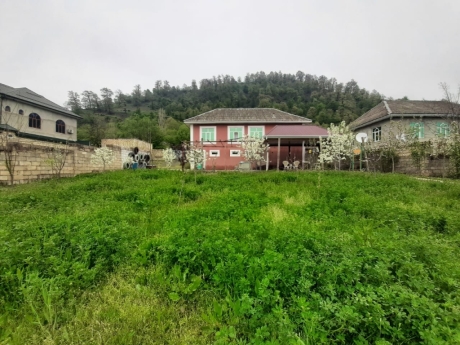 gundelik ev kirayesi
