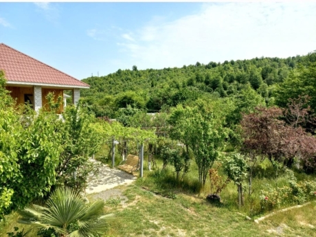 gundelik ev kirayesi