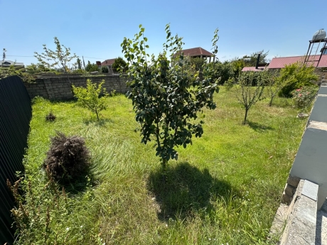 daily apartments baku