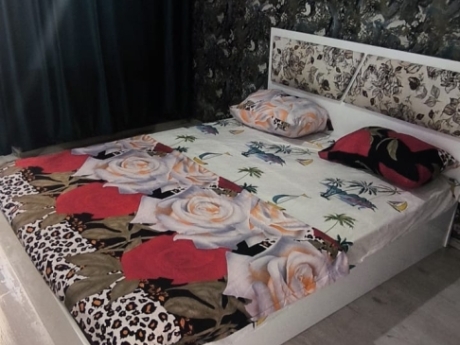 bakıda günlük kirayə evlər